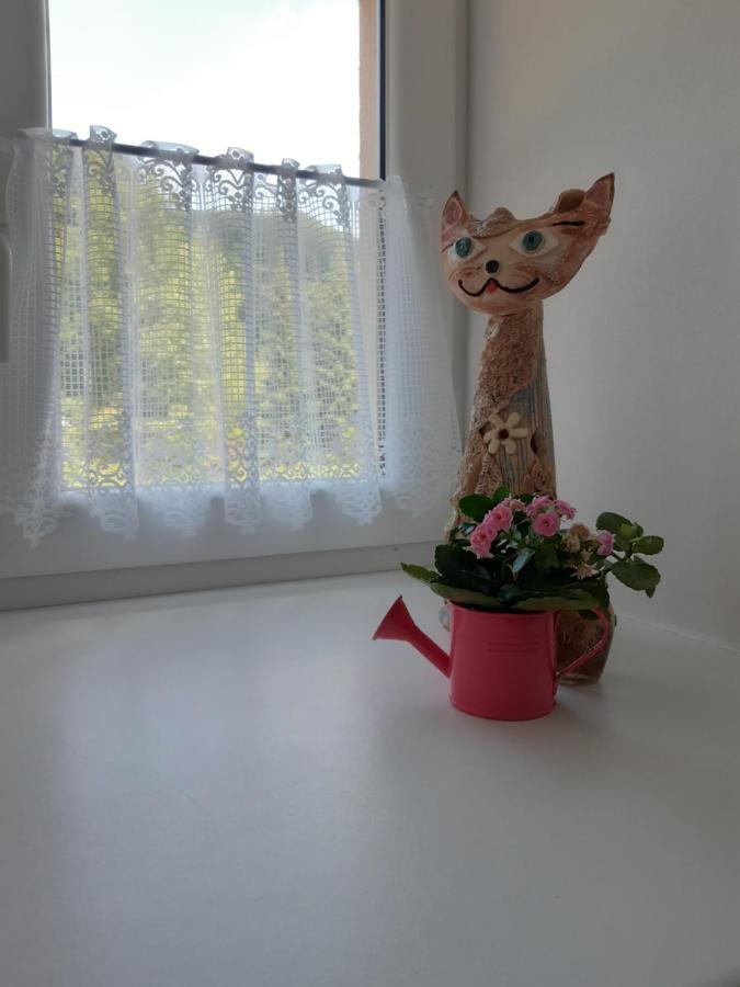 Apartman Horni Lipova C. 3 外观 照片